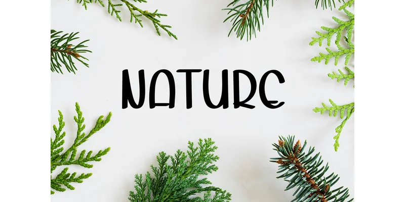 Holiay Playsign Font by Berkah Shop — Display Font — thumbnail 4