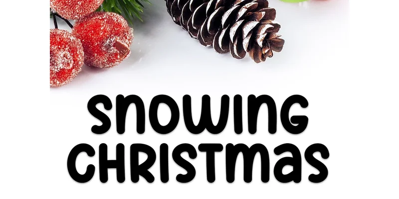 Holiday Christmas Font by PAYJHOshop — Display Font — thumbnail 3