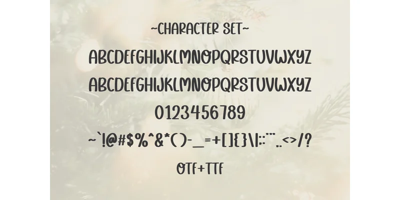 Holiday Heritage Font by SiapGraph — Sans Serif Font — thumbnail 3