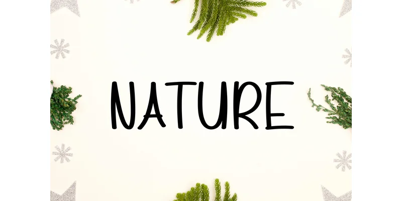 Home Holiday Font by KC Production — Display Font — thumbnail 4