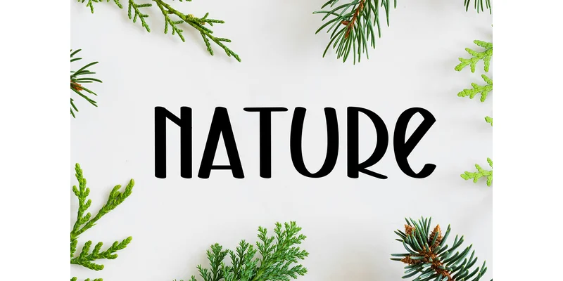 Honey Babe Font by KC Production — Display Font — thumbnail 2