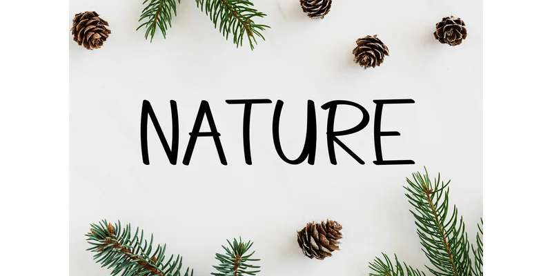 Honking Vantastic Font by ArtLine Design — Display Font — thumbnail 3