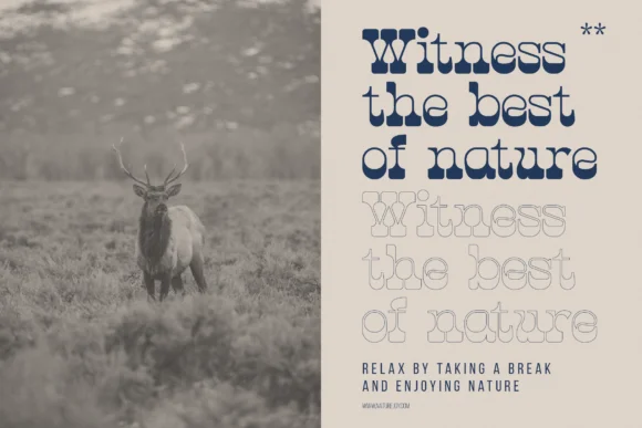 Hunting Ground by Denustudios — Slab Serif Font — thumbnail 5