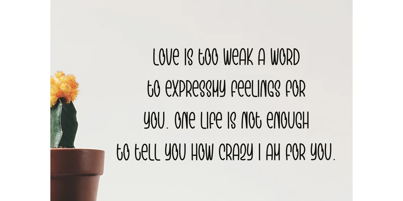 Hunting Monkey Font by KC Production — Display Font — thumbnail 3