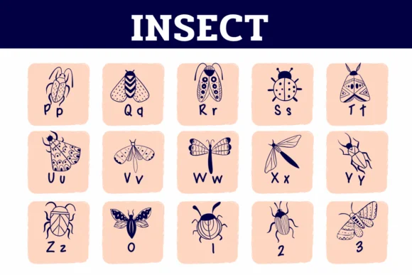 Insect by Sirinart — Dingbats Font — thumbnail 3