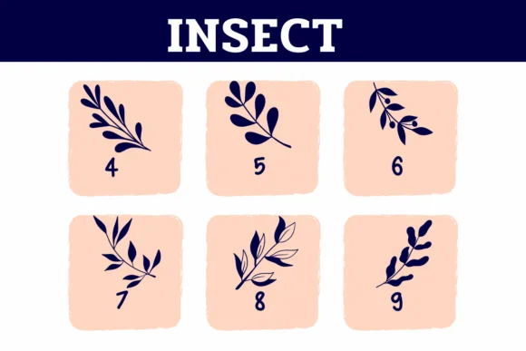 Insect by Sirinart — Dingbats Font — thumbnail 4