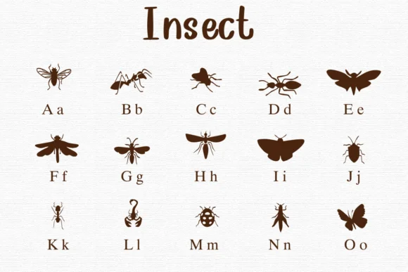 Insect by Nongyao — Dingbats Font — thumbnail 2