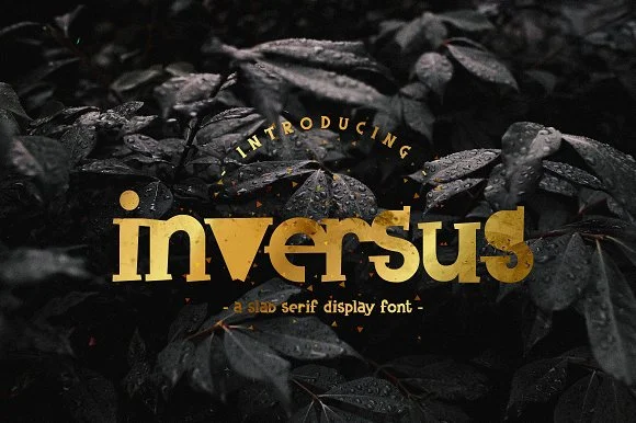 Inversus by ChekArt — Slab Serif Font