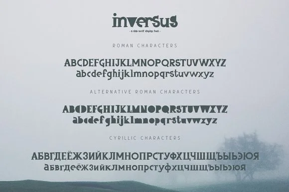 Inversus by ChekArt — Slab Serif Font — thumbnail 8