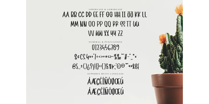 January Holiday Font by 21Design — Display Font — thumbnail 6