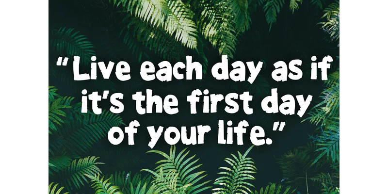 Jungle Stone Font by MVMET — Display Font — thumbnail 3