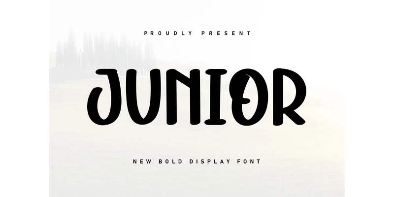 Junior Font by ArtLine Design — Display Font