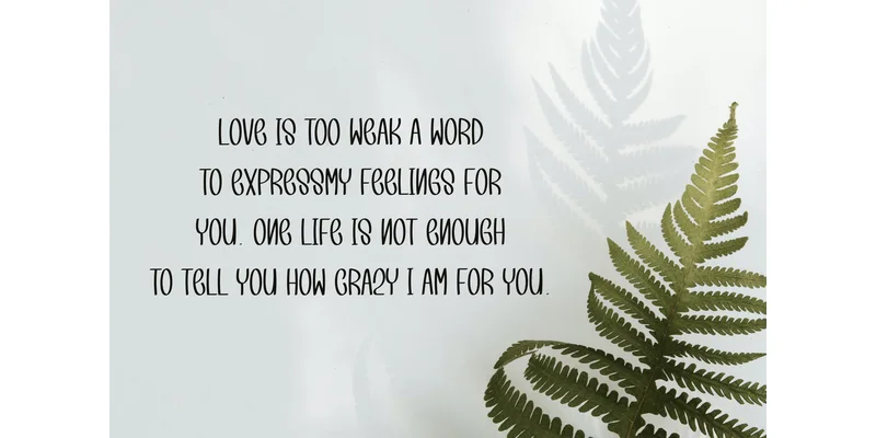 Kindly Reminder Font by Berkah Shop — Display Font — thumbnail 4