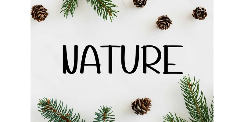 Kindred Sunshine Font by KC Production — Display Font — thumbnail 4