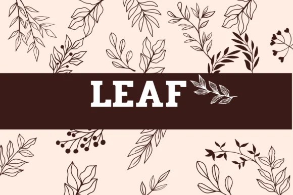 Leaf by Sirinart — Dingbats Font