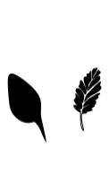 Leaf by Nongyao — Dingbats Font — thumbnail 8