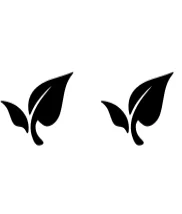 Leaf Icon by Ketsarin — Dingbats Font — thumbnail 8
