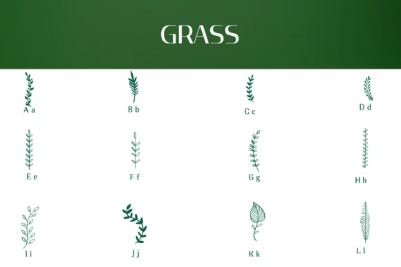 Leaf Line Art by Heartcraft Atelier — Dingbats Font — thumbnail 2