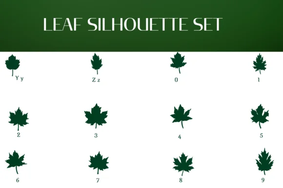 Leaf Silhouette Set by Heartcraft Atelier — Dingbats Font — thumbnail 4