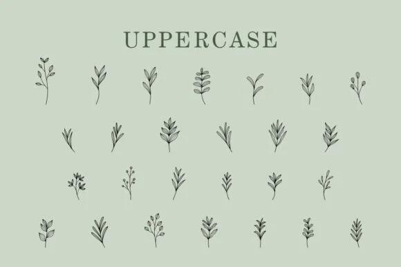 Leaves by Eystore — Dingbats Font — thumbnail 2