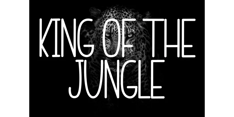 Leopard Font by PiPi Creative — Display Font — thumbnail 6