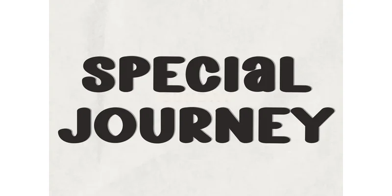 Light Heavy Font by FreshTypeINK — Display Font — thumbnail 3