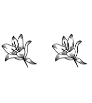 Lily by Ketsarin — Dingbats Font — thumbnail 8