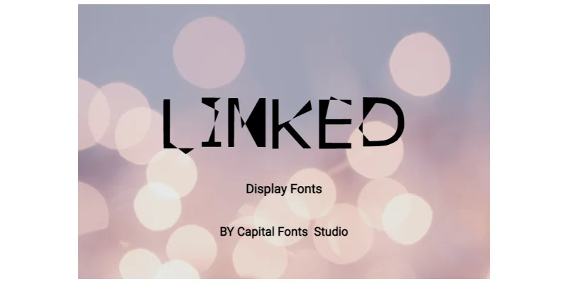 Linked Font by Bloomora Studio — Display Font