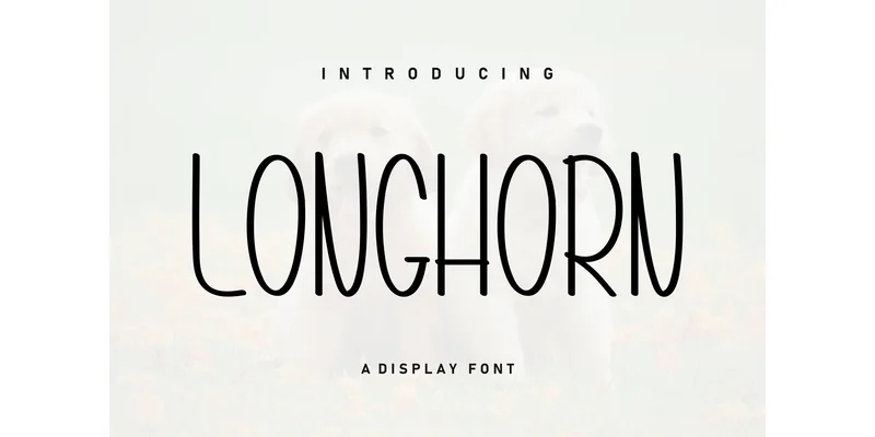 Longhorn Font by Berkah Shop — Display Font