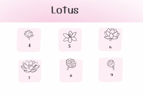 Lotus by Ketsarin — Dingbats Font — thumbnail 3