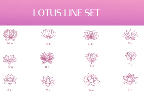 Lotus Line Set by Heartcraft Atelier — Dingbats Font — thumbnail 3