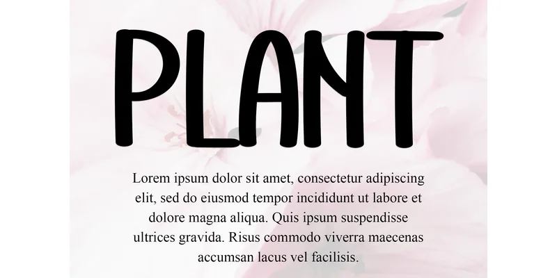 Madelin Font by Inermedia STUDIO — Sans Serif Font — thumbnail 7