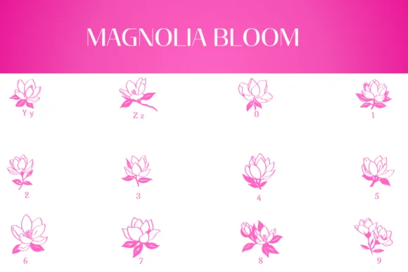 Magnolia Bloom by Heartcraft Atelier — Dingbats Font — thumbnail 4