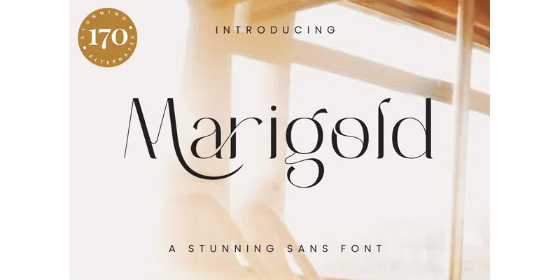 Marigold Font by Typesthetic Studio — Sans Serif Font