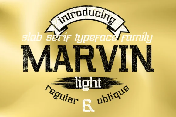 Marvin Light by NREY — Slab Serif Font