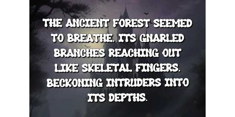 Midnight Curse Font by Black line — Display Font — thumbnail 4