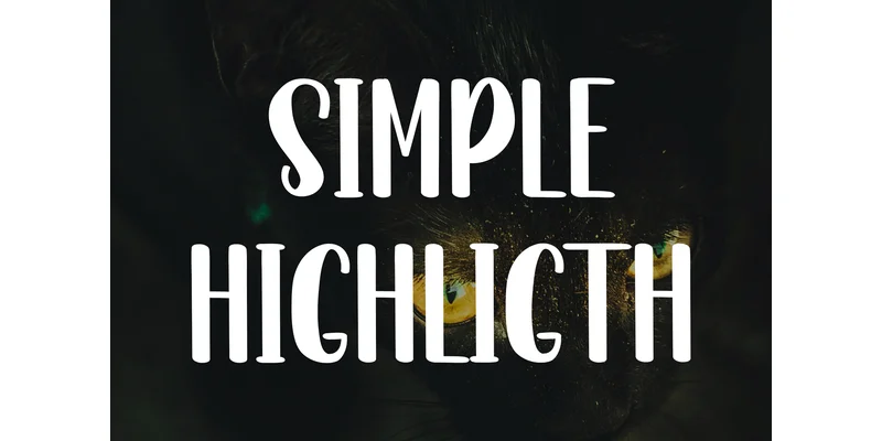 Minimalist Highlight Font by Inermedia STUDIO — Display Font — thumbnail 7