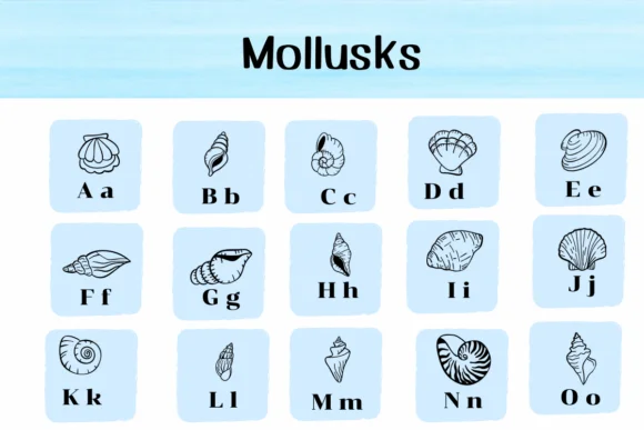 Mollusks by Ketsarin — Dingbats Font — thumbnail 2