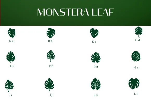 Monstera Leaf by Heartcraft Atelier — Dingbats Font — thumbnail 2