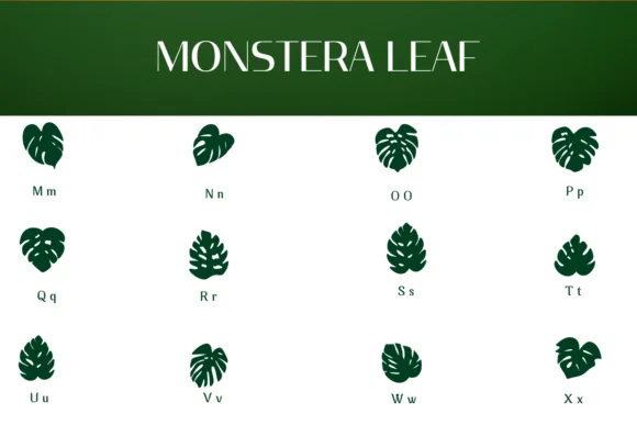 Monstera Leaf by Heartcraft Atelier — Dingbats Font — thumbnail 3