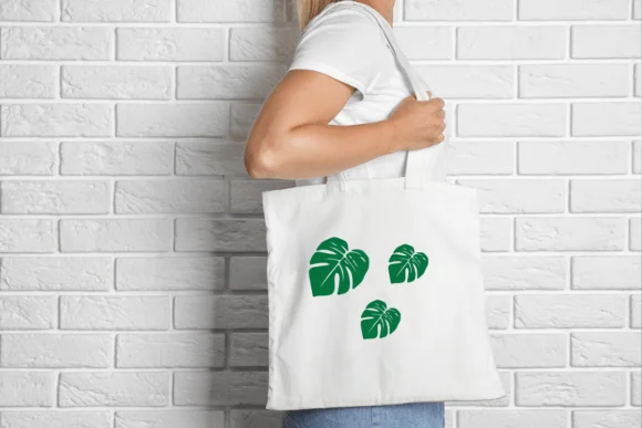 Monstera Leaf by Heartcraft Atelier — Dingbats Font — thumbnail 6