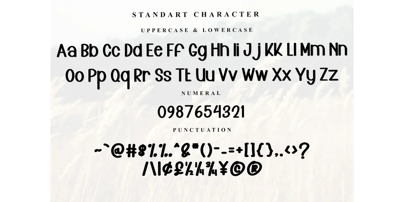 Morning Cowboy Font by FreshTypeINK — Display Font — thumbnail 5
