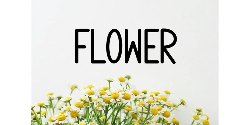 Morning Holiday Font by Berkah Shop — Display Font — thumbnail 4