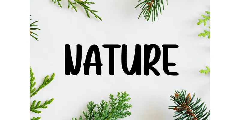 Motherland Font by KC Production — Display Font — thumbnail 2