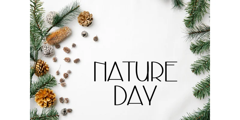 Nacreous Font by KC Production — Display Font — thumbnail 2