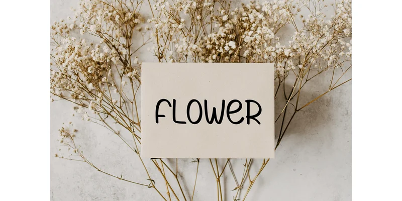 Natural Outline Font by ArtLine Design — Display Font — thumbnail 3