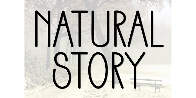 Natural Story Font by FreshTypeINK — Sans Serif Font