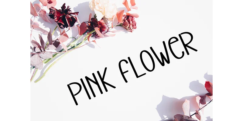 Naturalis Creator Font by Berkah Shop — Display Font — thumbnail 4