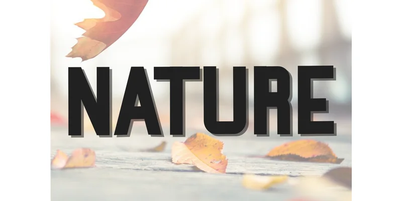 Nature Font by Inermedia STUDIO — Display Font