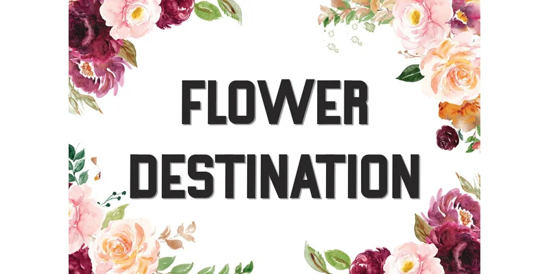 Nature Font by Inermedia STUDIO — Display Font — thumbnail 2